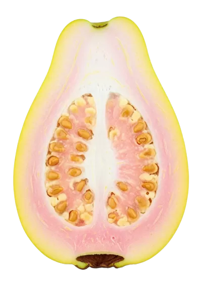 Imagen PNG para descargar